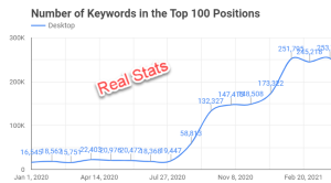 e-commerce seo record increase in visibility